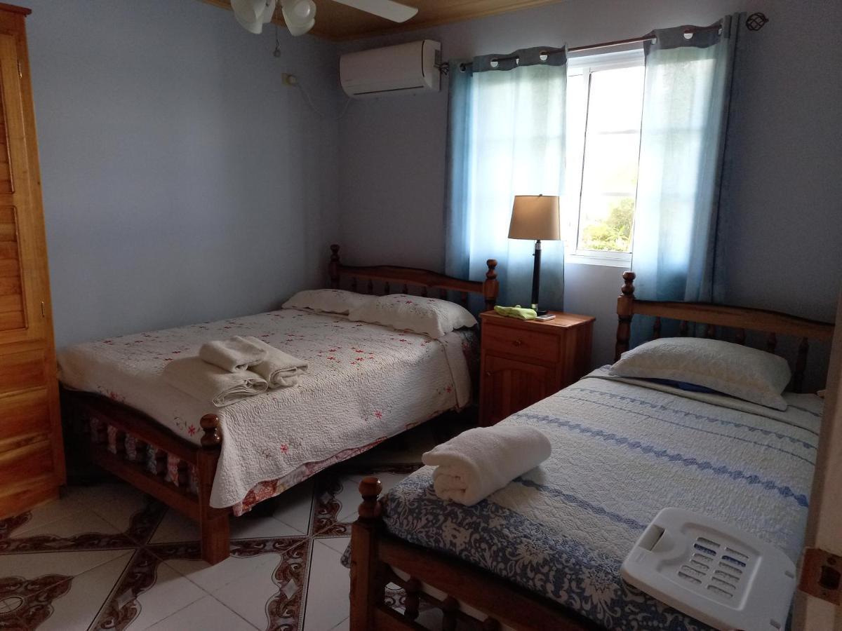 博卡斯德尔托罗Urania House别墅 外观 照片